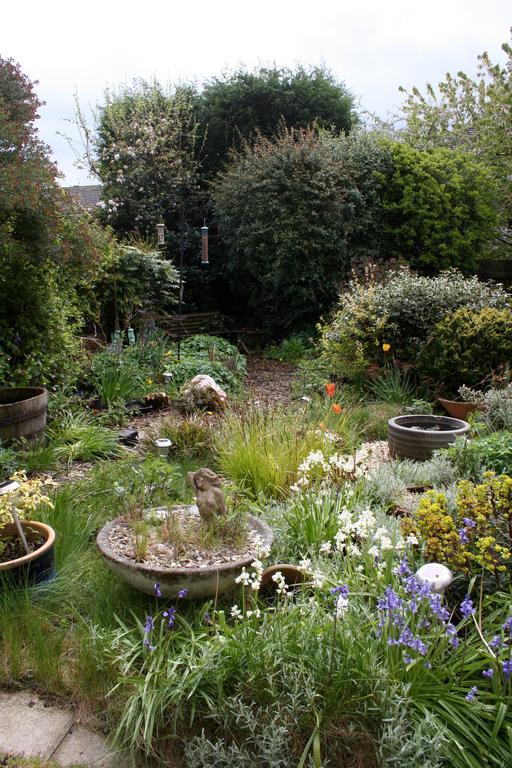 Mere Cottage B & B Alsager Εξωτερικό φωτογραφία