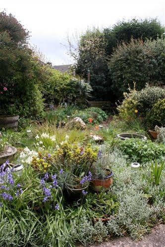 Mere Cottage B & B Alsager Εξωτερικό φωτογραφία